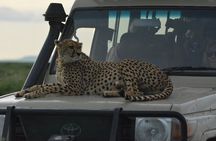 4-Day Small-Group Tour of Tanzania