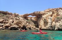 4 hour Guided kayaking trip along east Cape Greko