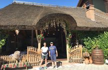 Discover Gagauzia and Manuc Bei Mansion