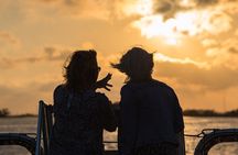 90 minute Hilton Head Sunset Dolphin Cruise