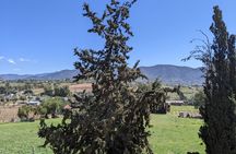 Private Tour in Valle De Guadalupe