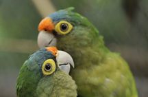 Private Wildlife and Sightseeing Tour to Natuwa Rescue Center