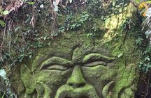 Full-Day Private Tour in Ubud with Pick Up
