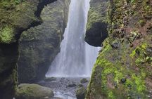 South Coast and Black Beach Tour