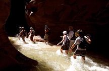 Wadi Mujib Siq Taril (Self Guided) with round trip transfers