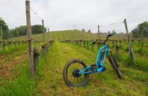 Guided hike in Iraty by scooter