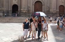 Albaicín and Sacromonte Walking Tour and Flamenco Show