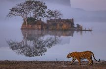 4 Days: Jaipur, Ranthambore Tigers & Taj Mahal Tour From Jaipur With Delhi Drop 