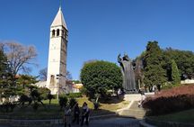 Experience Split With Local Professional Historian - Small Group 