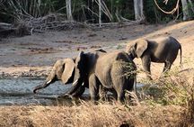 Saadani National Park Day Tour