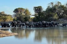 Saadani National Park Day Tour