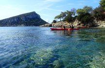 Sunset Dolphin Kayak Tour at Golfo Aranci