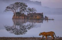 4 Days Jaipur, Ranthambore, Agra Tour including Safari & Hotels