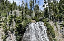 Explore Mt. Rainier National Park with a Local Guide