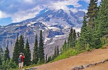 Explore Mt. Rainier National Park with a Local Guide
