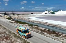 Luc's Private Group Bonaire Open Bus Tour