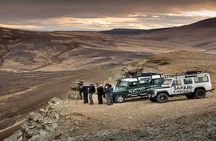Immersive 4x4 Patagonia Safari: Dicover Flora Heritage & Wildlife