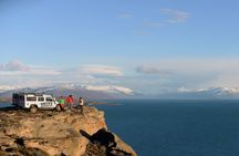 Immersive 4x4 Patagonia Safari: Dicover Flora Heritage & Wildlife