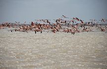 7 Days 6 Nights Alta Guajira Photographic Route Tour with Pick up