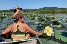 Canoe/Kayak Day Tour of Mississippi Wildlife & Fish Refuge