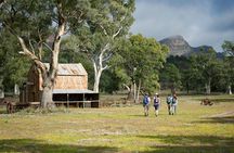 Ikara-Flinders Ranges Hiking Tour - 5 Days