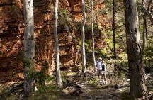 Ikara-Flinders Ranges Hiking Tour - 5 Days