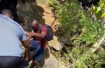 Tom Moores Jungle and Eco Tour