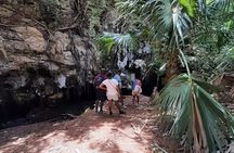 Tom Moores Jungle and Eco Tour