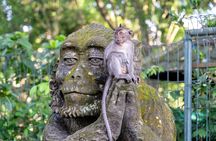 3 Days for the best of Ubud Private Tour