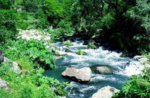  Dashbashi Canyon. The village of Asureti and Didgori monument.