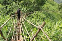 6 Days Assam & Meghalaya Tour