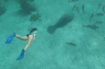 Hol Chan, Shark Ray Full-Day Snorkeling Tour From San Pedro Belize