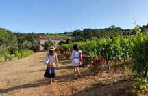 Discover Authentic Flavors of Elba Island: Winery Tour & Tasting