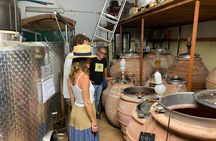 Discover Authentic Flavors of Elba Island: Winery Tour & Tasting