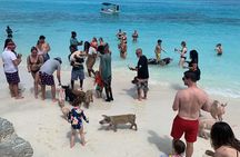 Nas: 3 islands Tour ,snorkel, Turtles, pigs and lunch