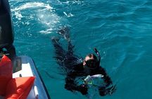 Nassau: Private Island & Snorkeling, Turtles, Drinks & BBQ 