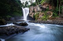 Ubud Jungle Swing - Monkey Forest - Water Temple - Waterfall 