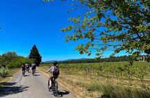 Wine excursion by electric bike guided by GPS Vallon Pont d'Arc