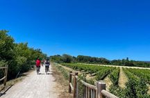 Wine excursion by electric bike guided by GPS Vallon Pont d'Arc