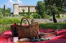 Wine excursion by electric bike guided by GPS Vallon Pont d'Arc