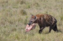 4 Day Private Lake Naivasha and Maasai Mara Safari Adventure