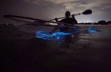 Clear Kayak Bioluminescence Tour