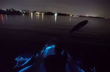 Clear Kayak Bioluminescence Tour