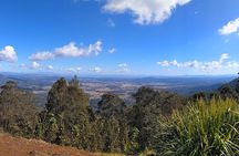 Tamborine Mountain and Paradise Point Tour from Brisbane