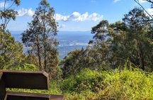 Tamborine Mountain and Paradise Point Tour from Brisbane