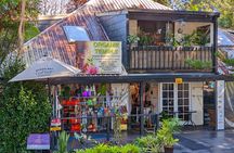 Tamborine Mountain and Paradise Point Tour from Brisbane