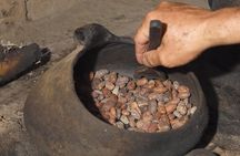 Authentic 2-Day Cacao Tour in Cusco Jungle with Local Homestay