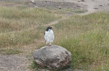 4-Day Small-Group Tour of Tanzania