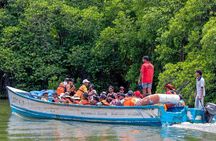 Bentota Day Tour From Colombo With Sri Lankan Lunch