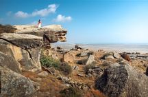 Full Day Sightseeing Tour of the main Attractions around Baku